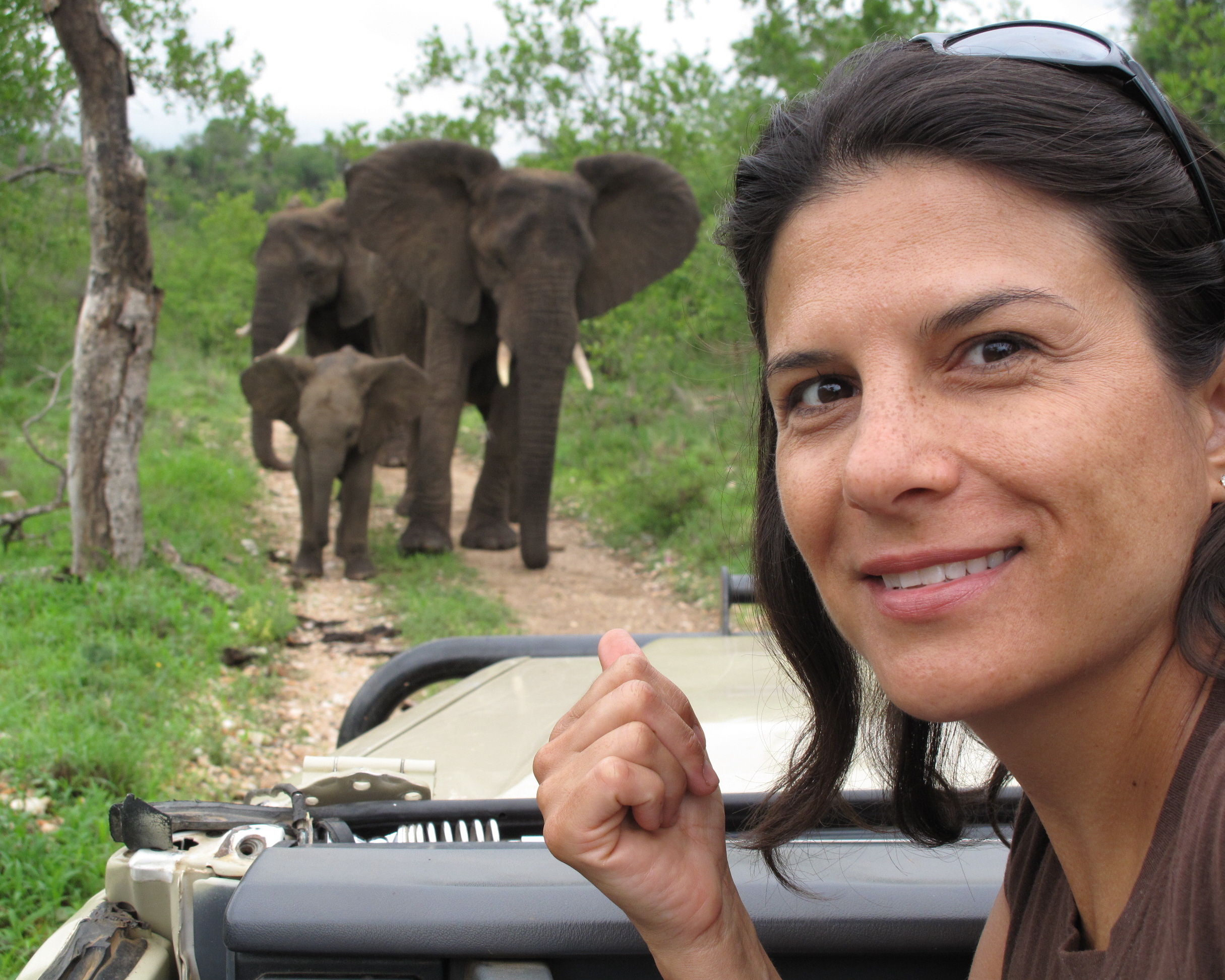 mommy - daddy and baby elephants.jpg