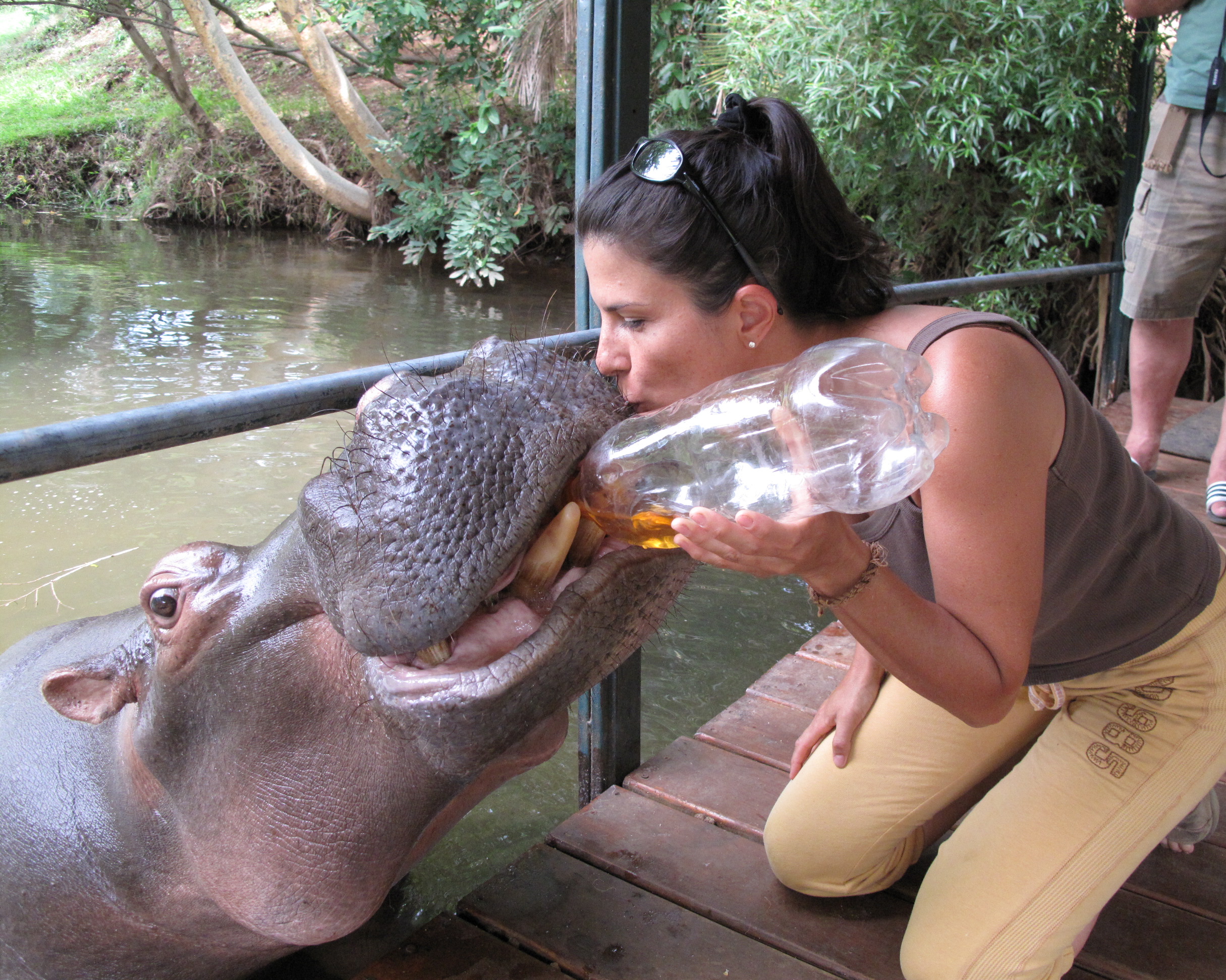 kissing Jessica the hippo.jpg