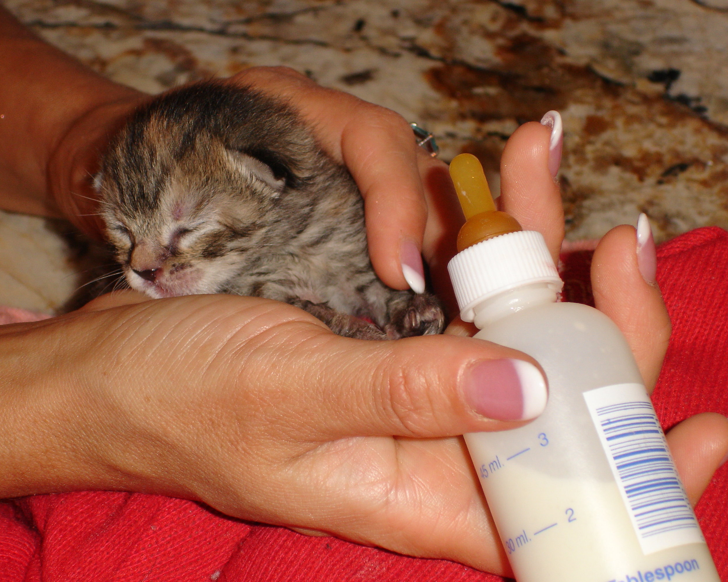 newborn hanna with bottle.jpg