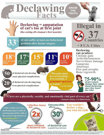 declawing.png