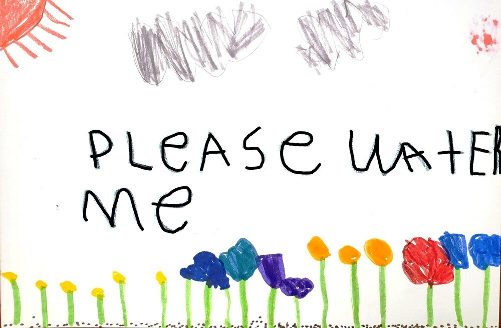 Please Water Me--Flowers
