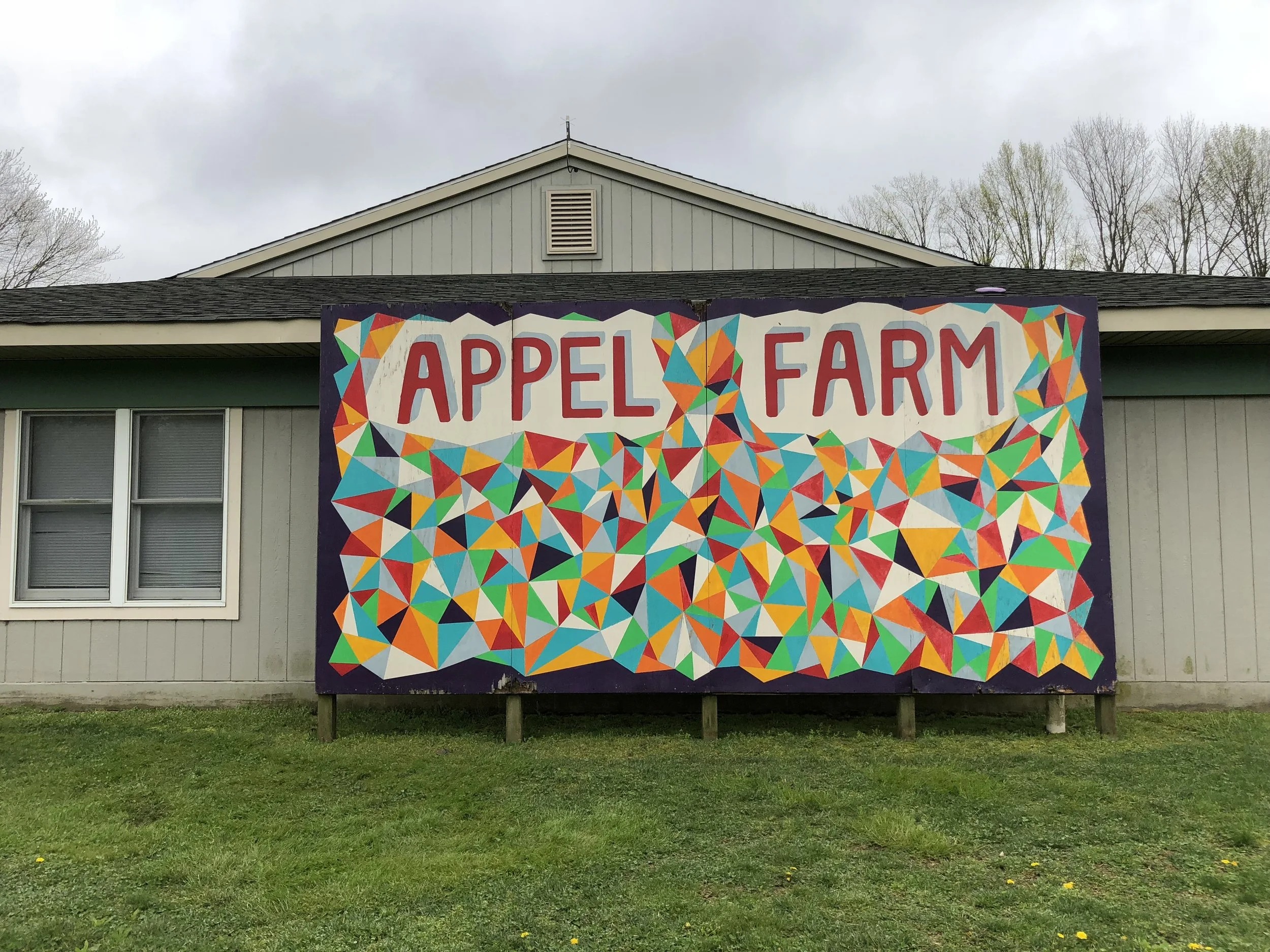 Conference Accessibility 2019