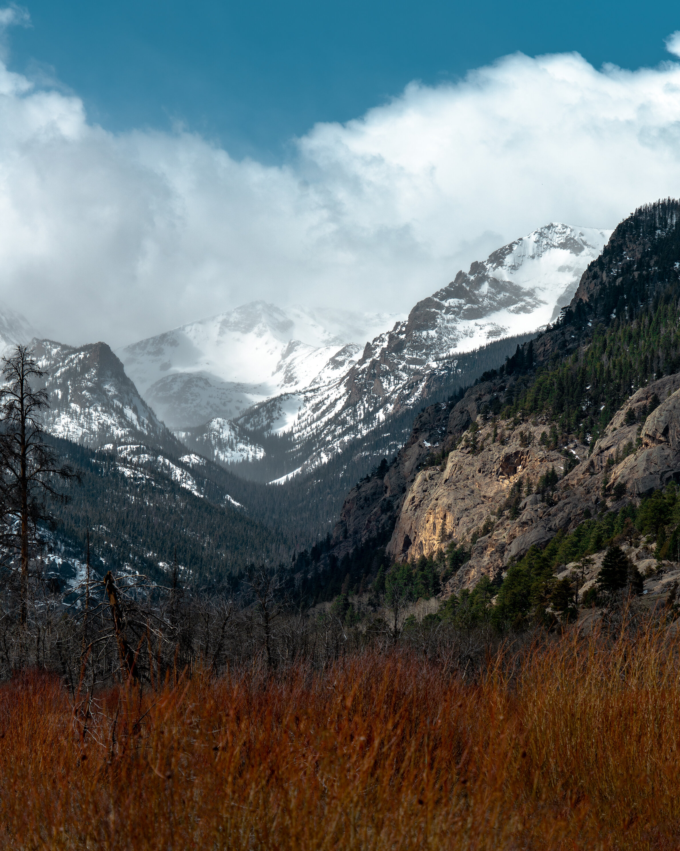 Colorado