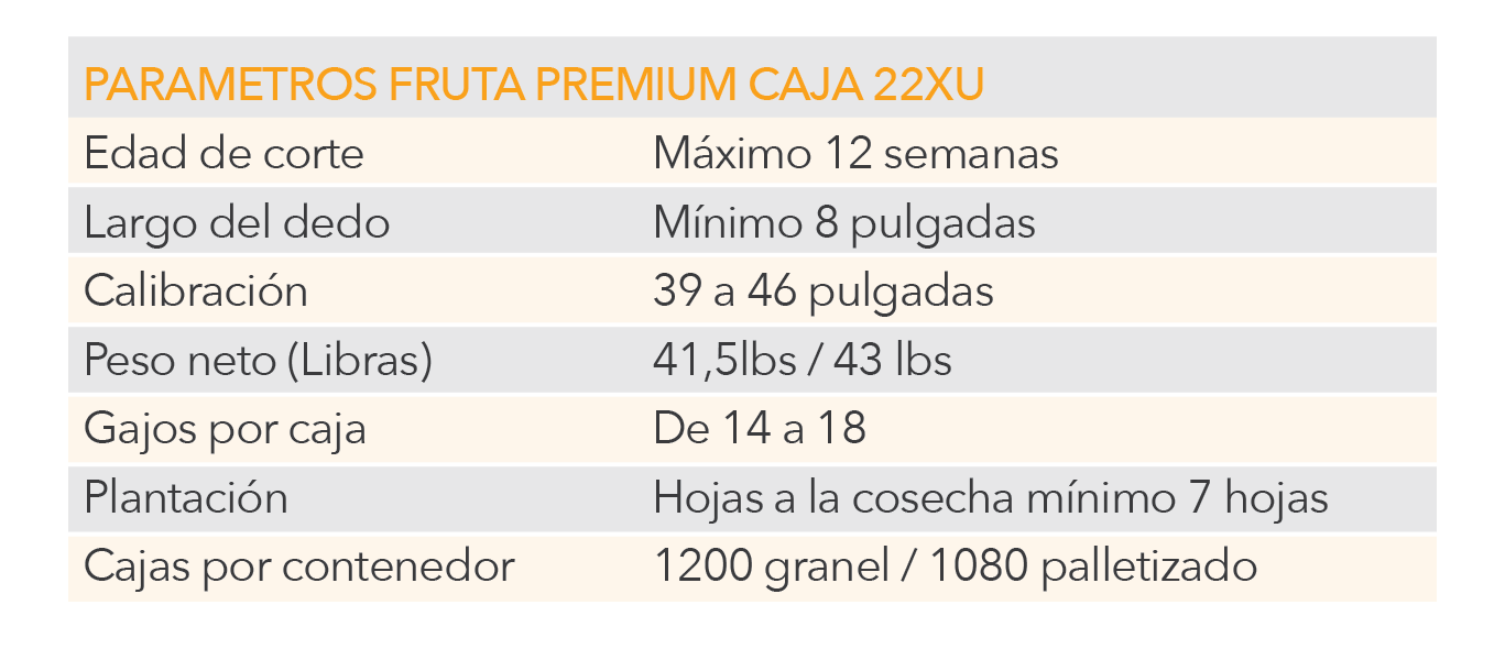 Cuadro1-01.png