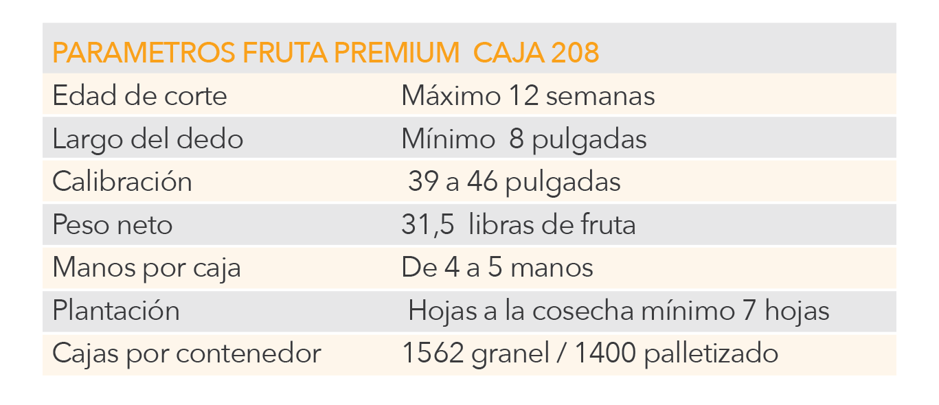 Cuadro1-02.png