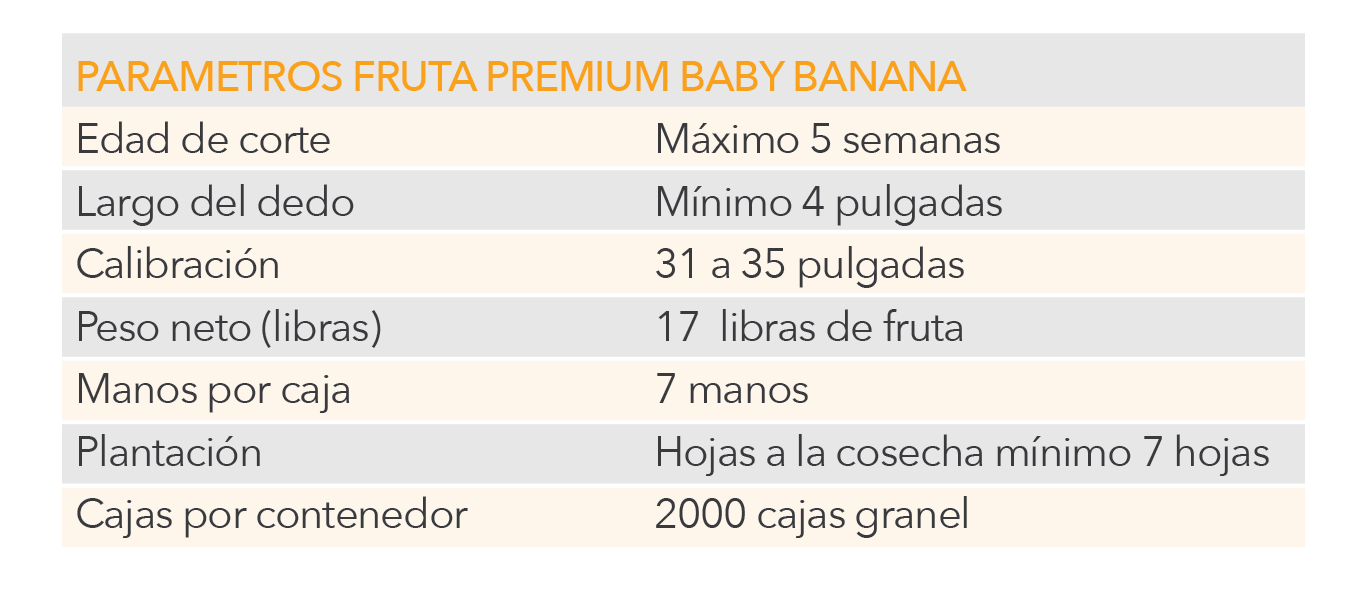 Cuadros-03.png