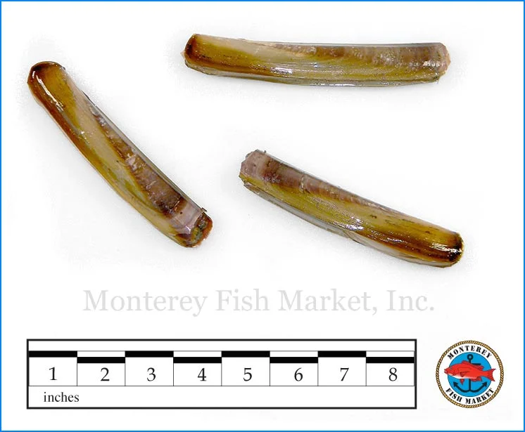 Monterey Fish Market Seafood Index photograph of Razor Clam, Ensis arcuatus (Eastern Razor Clam)