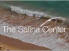 safinacenter.jpg