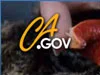 Monterey Fish Market Resource Links - California Ocean Protection Council