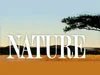 Monterey Fish Market Resource Links - PBS Nature