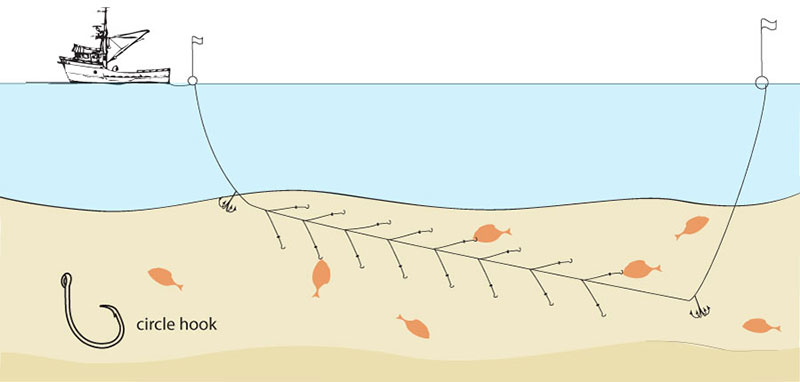 Fishing Instructions - Longline Instructions