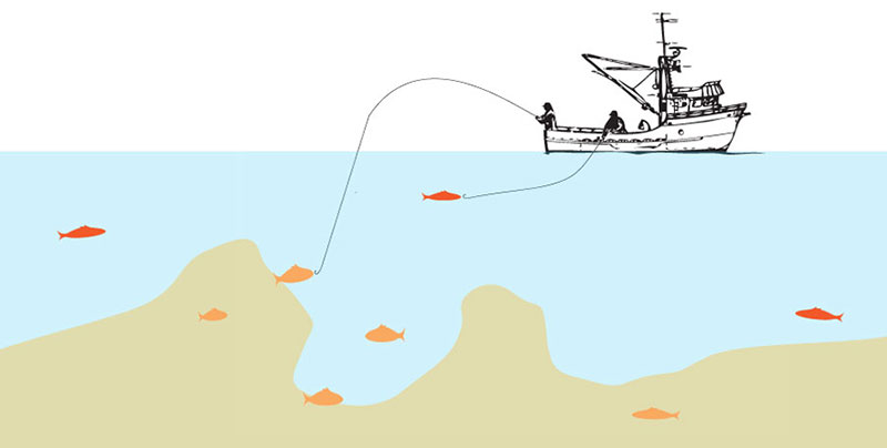 Diving into the tuna ranching industry - ICIJ