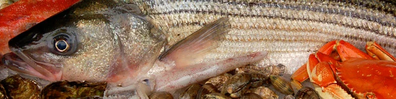 Sustainably caught, healthy and carefully handled fresh seafood on ice at Bay Area Monterey Fish Market