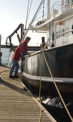 Photo of Purse Seiner The Mister Morgan