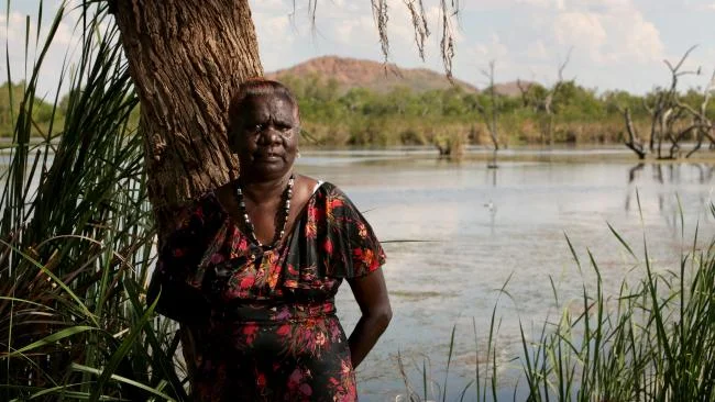Jean O'Reeri Position: Director, BBY Jean is a Wilinggin woman from Karunjie Station on the Gibb River Road. She has lived and worked in Wyndham in the East Kimberley region since the 1960s. Jean worked as an Aboriginal teaching assistant for over 20 years, most recently with pre-primary aged children at St. Joseph’s School in Wyndham. Jean has held directorships with Ngnowar Aerwah Aboriginal Corporation in Wyndham, which provides alcohol and other drug treatment and rehabilitation programs to community members and is a current member of the Wyndham advisory group. Watch an interview with Jean from Waringarri Media