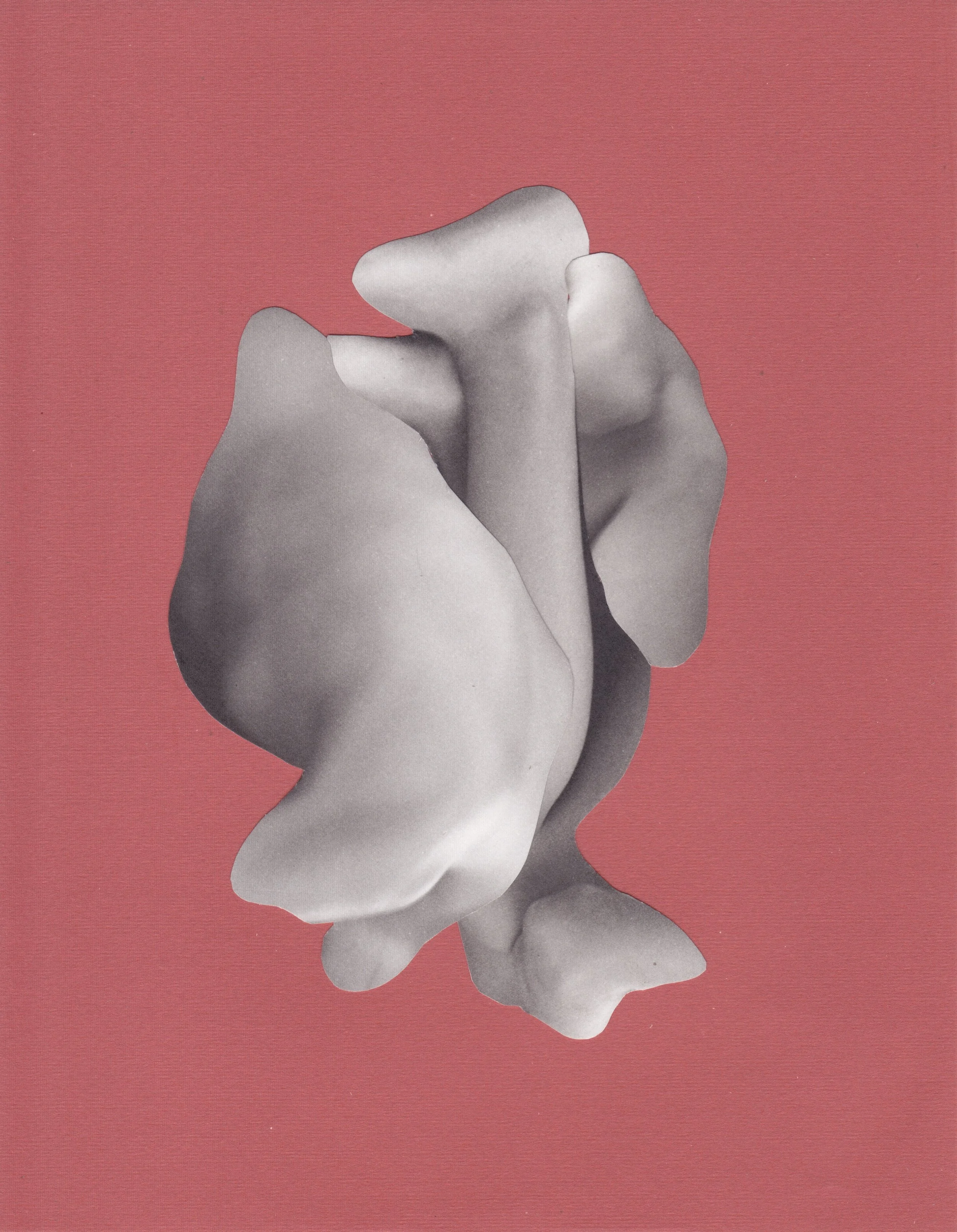 Corporeal Folds 23.jpeg