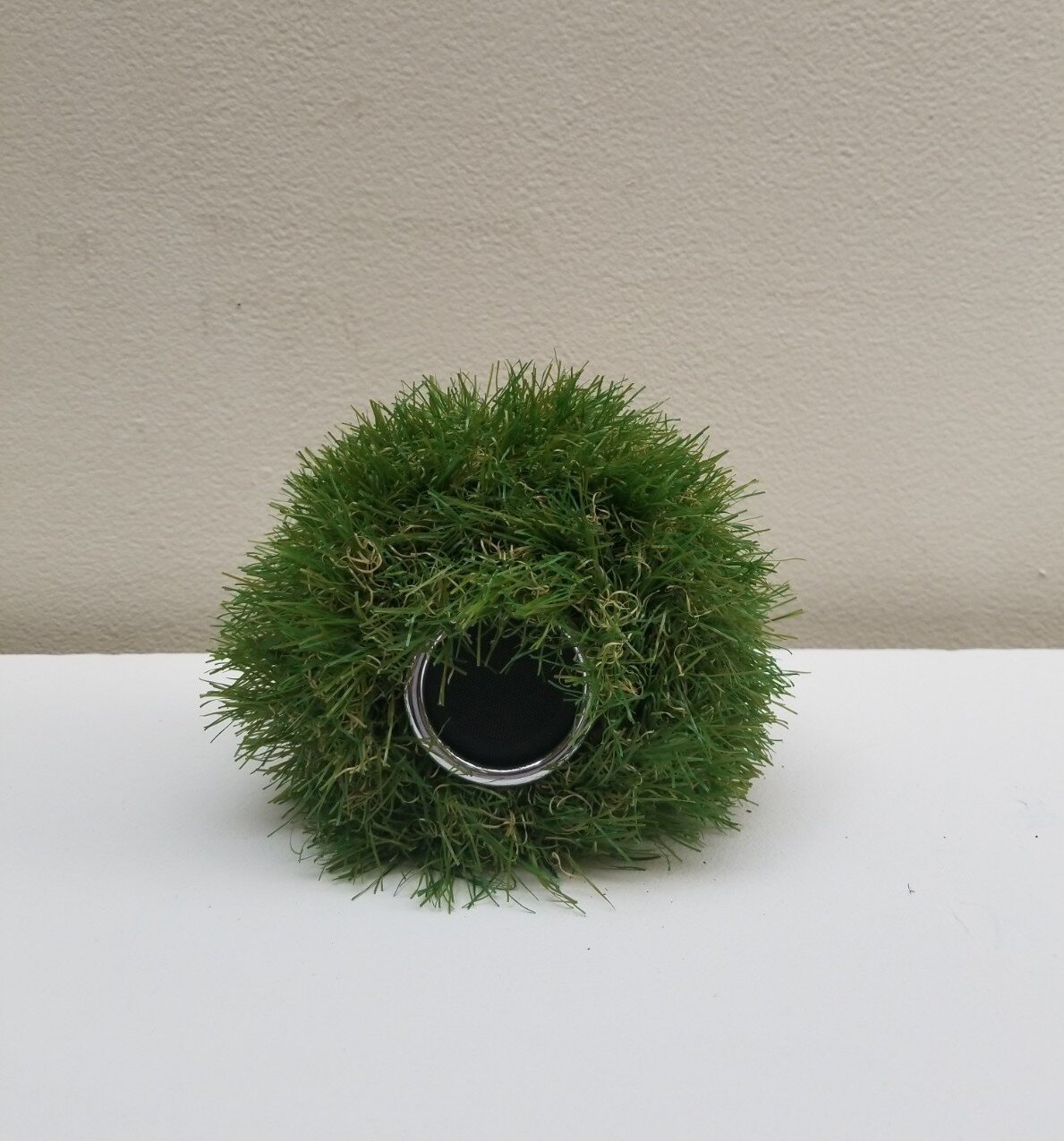 20180502_144915.jpg