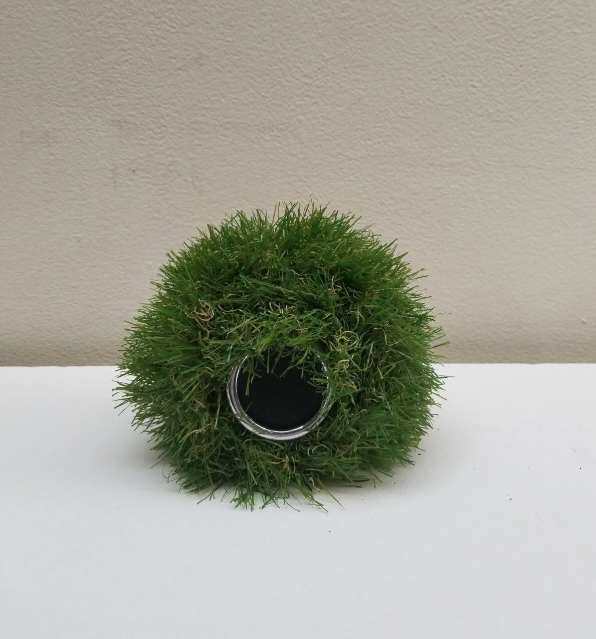 20180502_144915.jpg