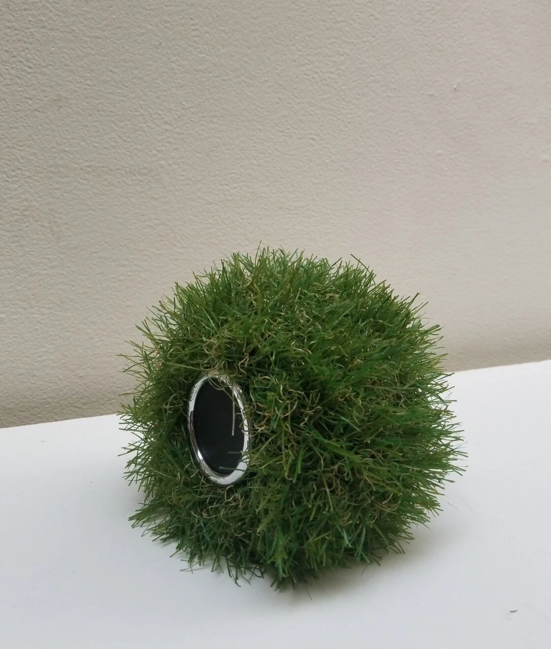 20180502_144905.jpg