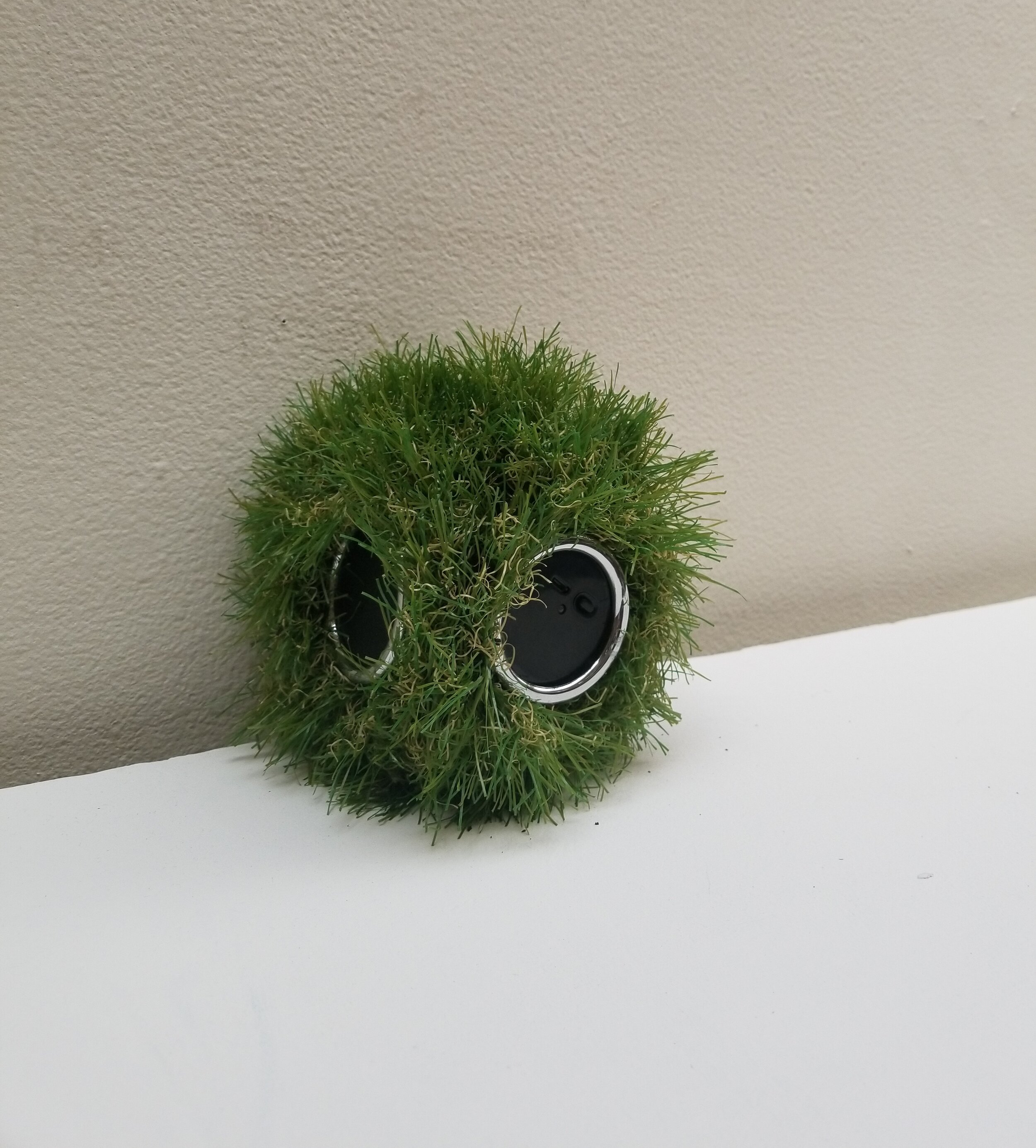 20180502_144940.jpg