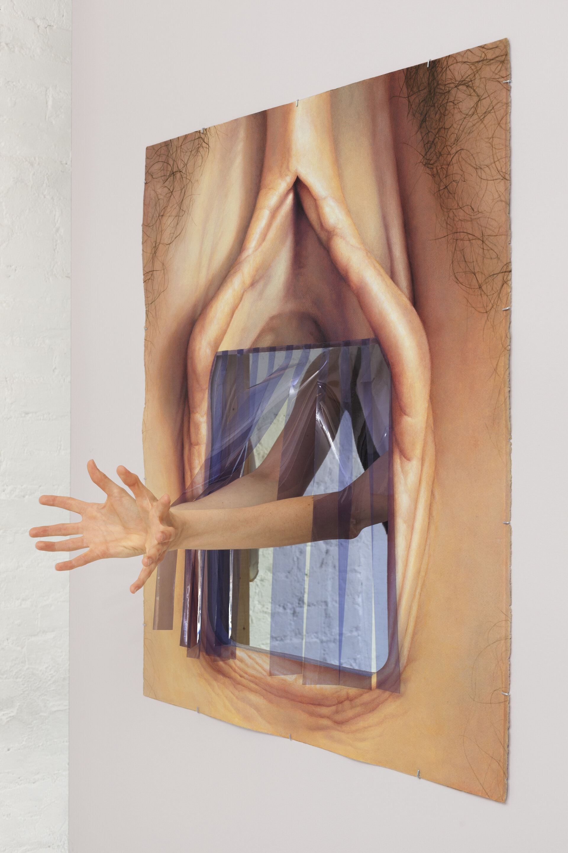   {strip door, vagina} , watercolor and plastic on paper,  29 1/2" x 34 5/8", activated by arms in performance  