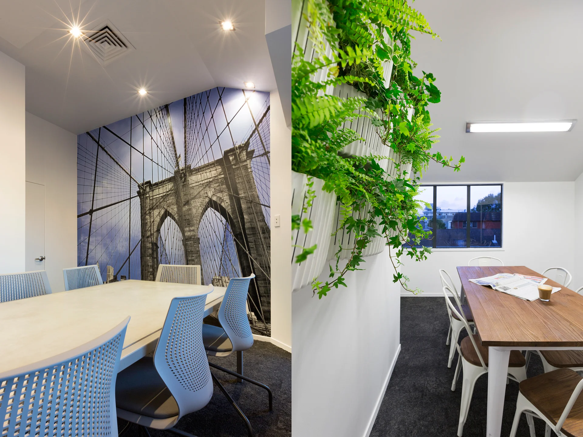 colliers meeting rooms.jpg