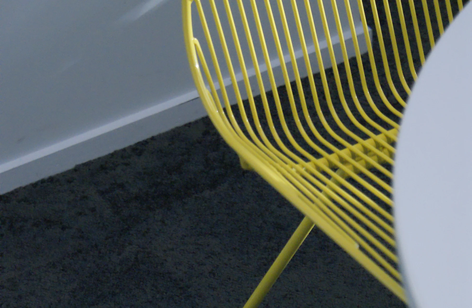 ray white detail.jpg