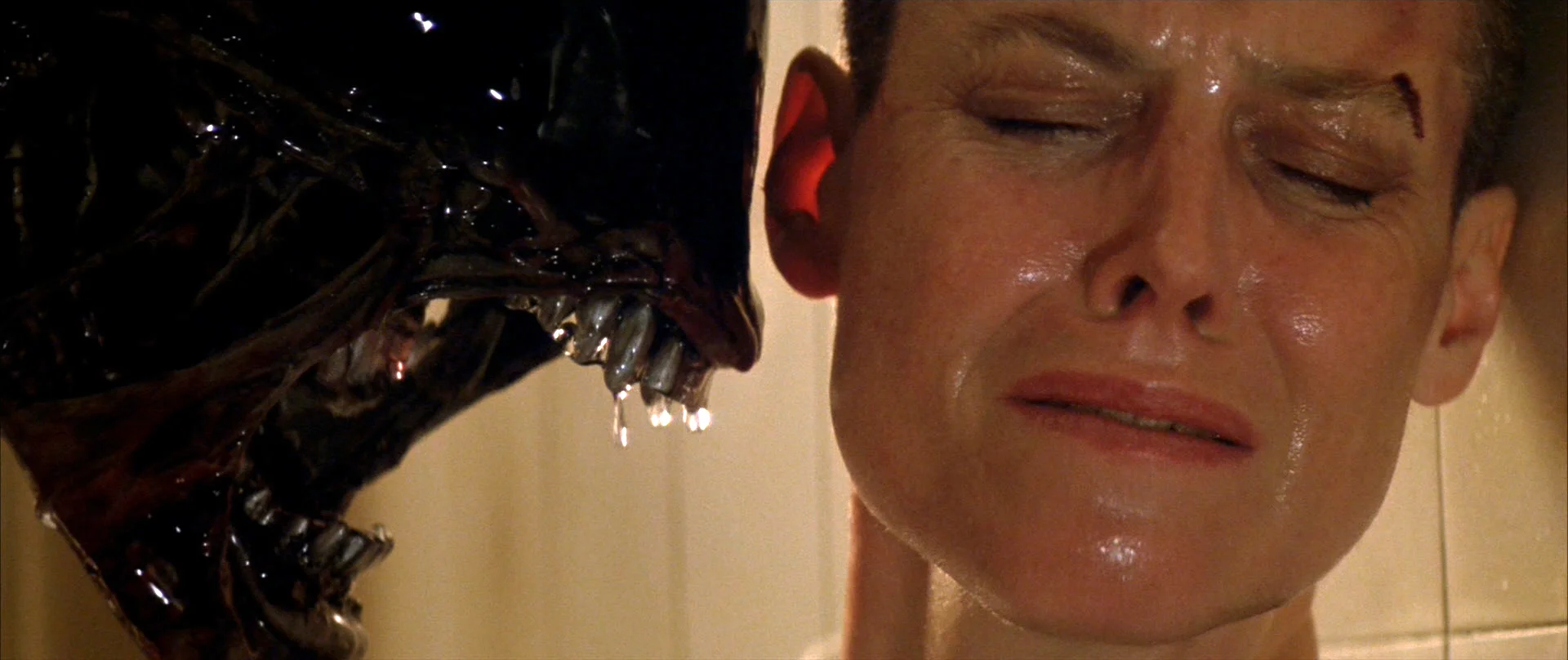 Alien3-Ripley.jpg