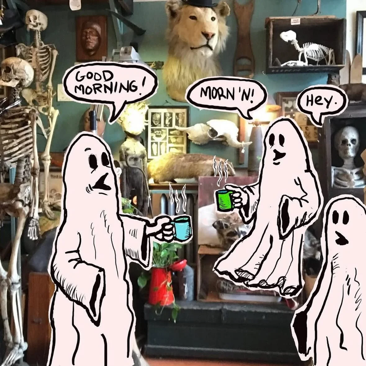 …figured this is an appropriate time to repost this. It’s from 2022 or 23 when we were all watching Jenna Ortega as Wednesday.
#hauntedchicago #jennaortega #ghost #haunted #wednesday #resurectionmary