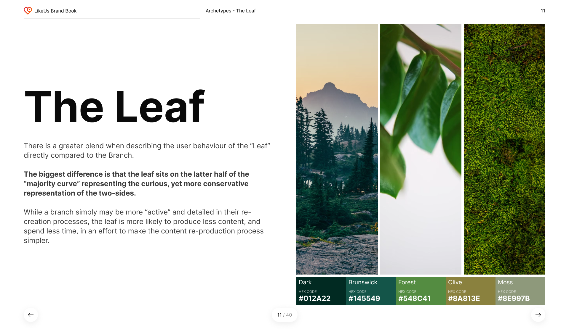 2.5. Archetypes - Leaf.png
