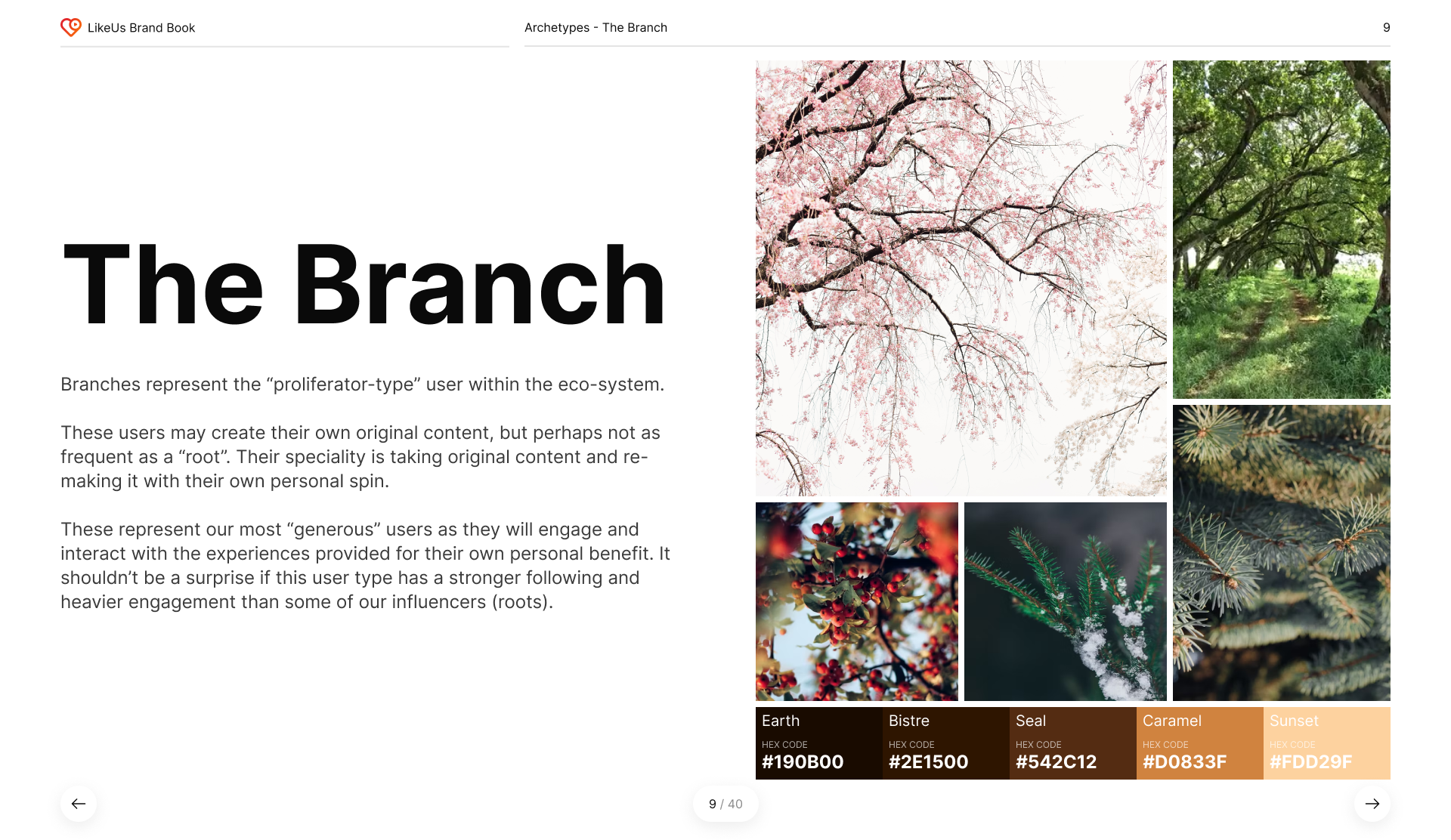 2.3. Archetypes - Branch.png