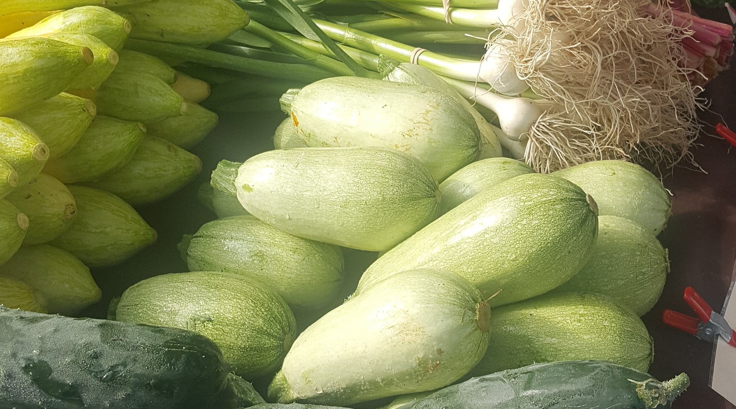 squash2-makingitrealinc.jpg