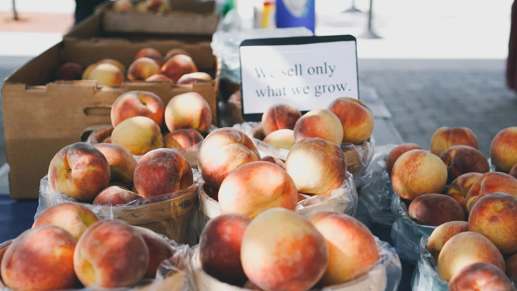 peaches2-makingitrealinc.jpg