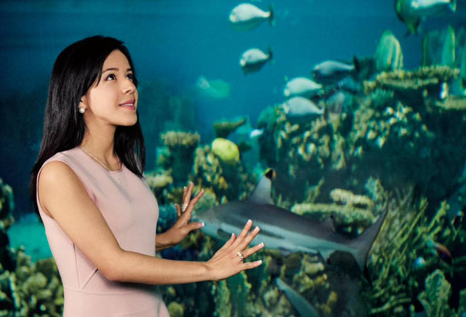 Daniela Fernandez: The Million-Dollar Save
