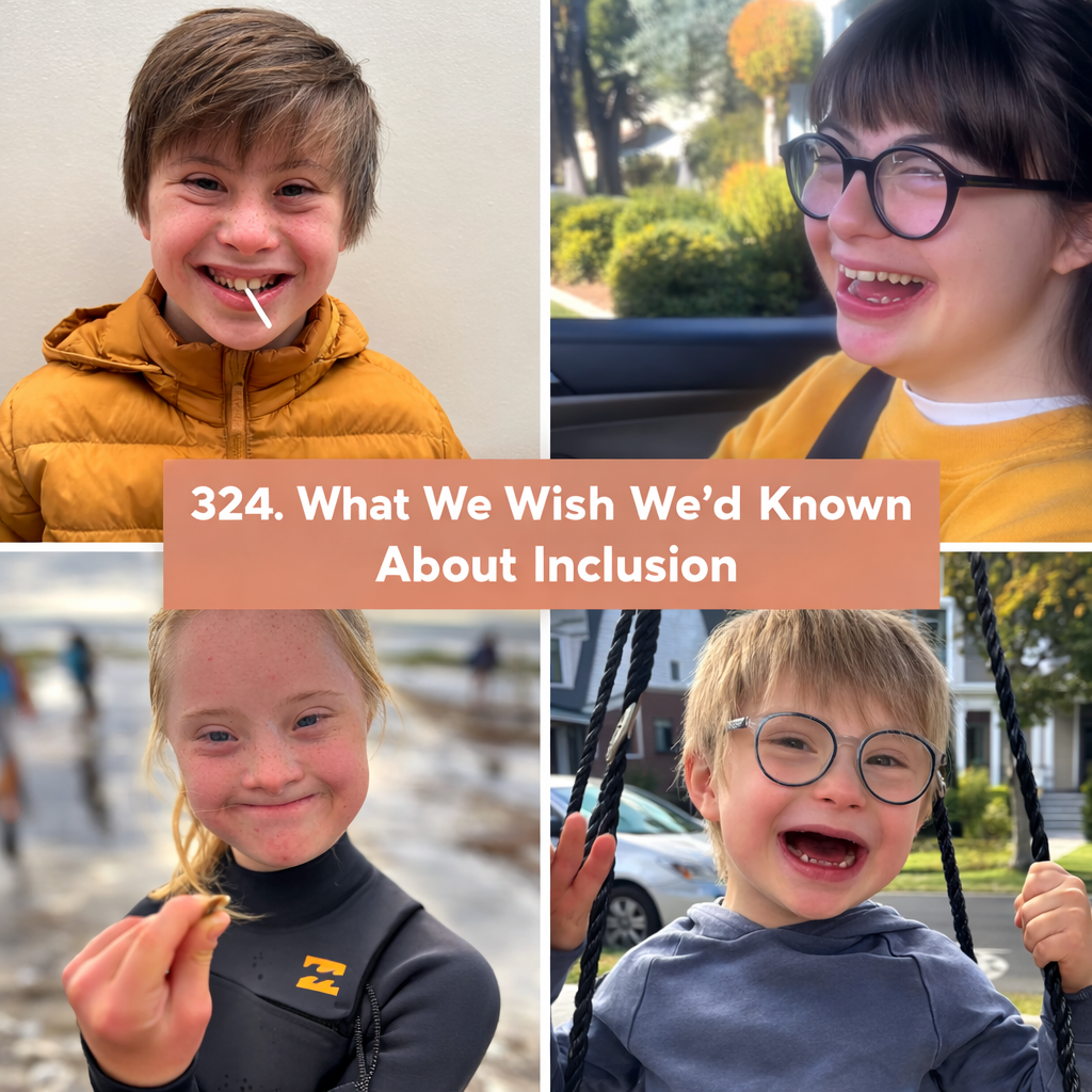 324. What We Wish We’d Known About Inclusion