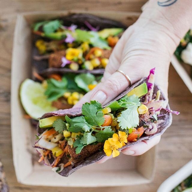 The blue corn tacos, no explanation needed. If you know you know!  YUM 🤤👏🏽🌮
.
.
.
.
.
#organic #fishtacos #tacos #wholefoods #noosa #vanillafood #sunshinecoast #brisbane 
Pic: @lumea_photo 💛