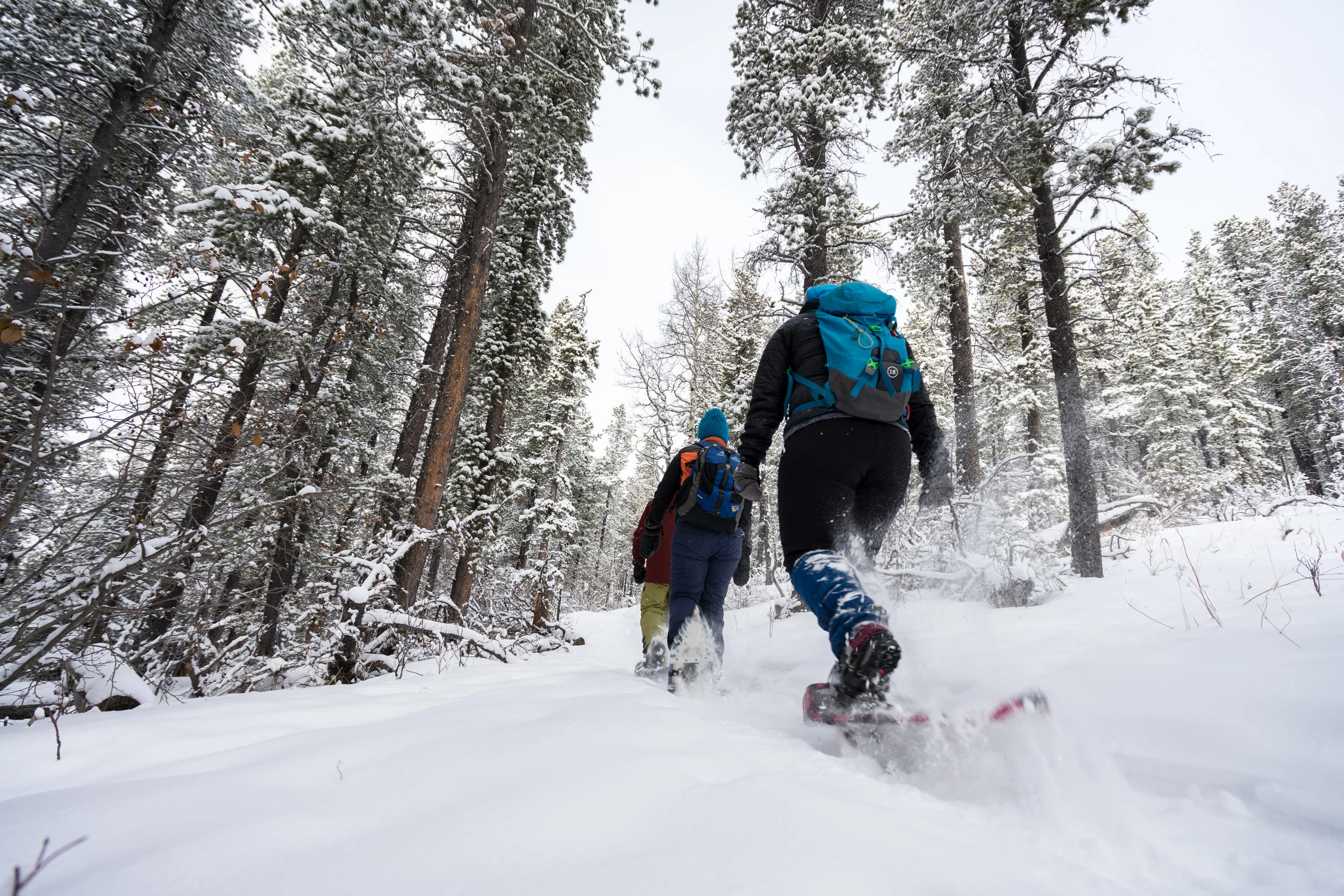 Snowshoeing in Bragg Creek Sony A7ii, Zeiss 16-35mm F4 1/200 Seconds, f/4, 16mm, ISO 100