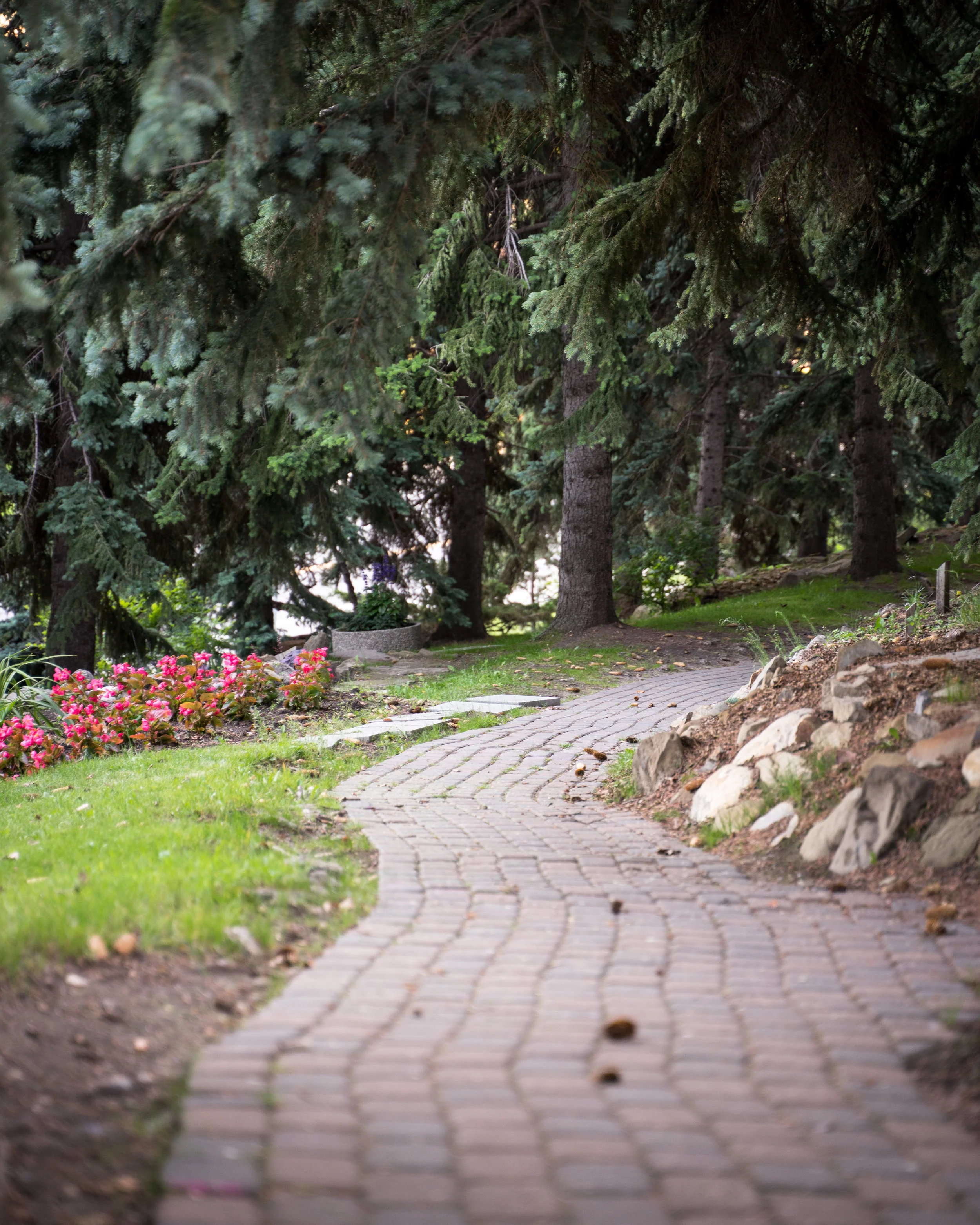 Rock Garden - Riley Park
