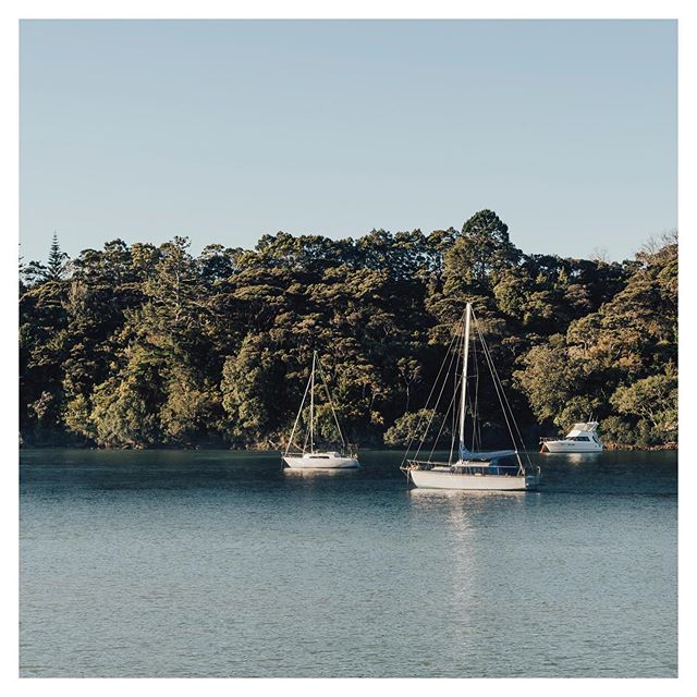 From where you&rsquo;d rather be... a beautiful spring day down in Catalina Bay this afternoon!

#catalinabay #foodwithaview #wineoclock #humpday