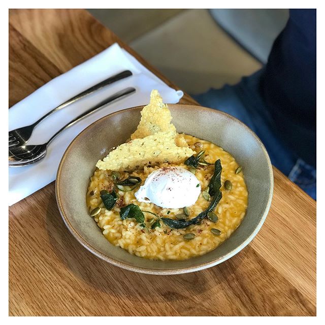 New on the menu today for some Friday dinner inspo- Smoked pumpkin risotto, poached egg, sage, parmesan crisp

#newdish #aucklandrestaurant #bistrodining #catalinabay