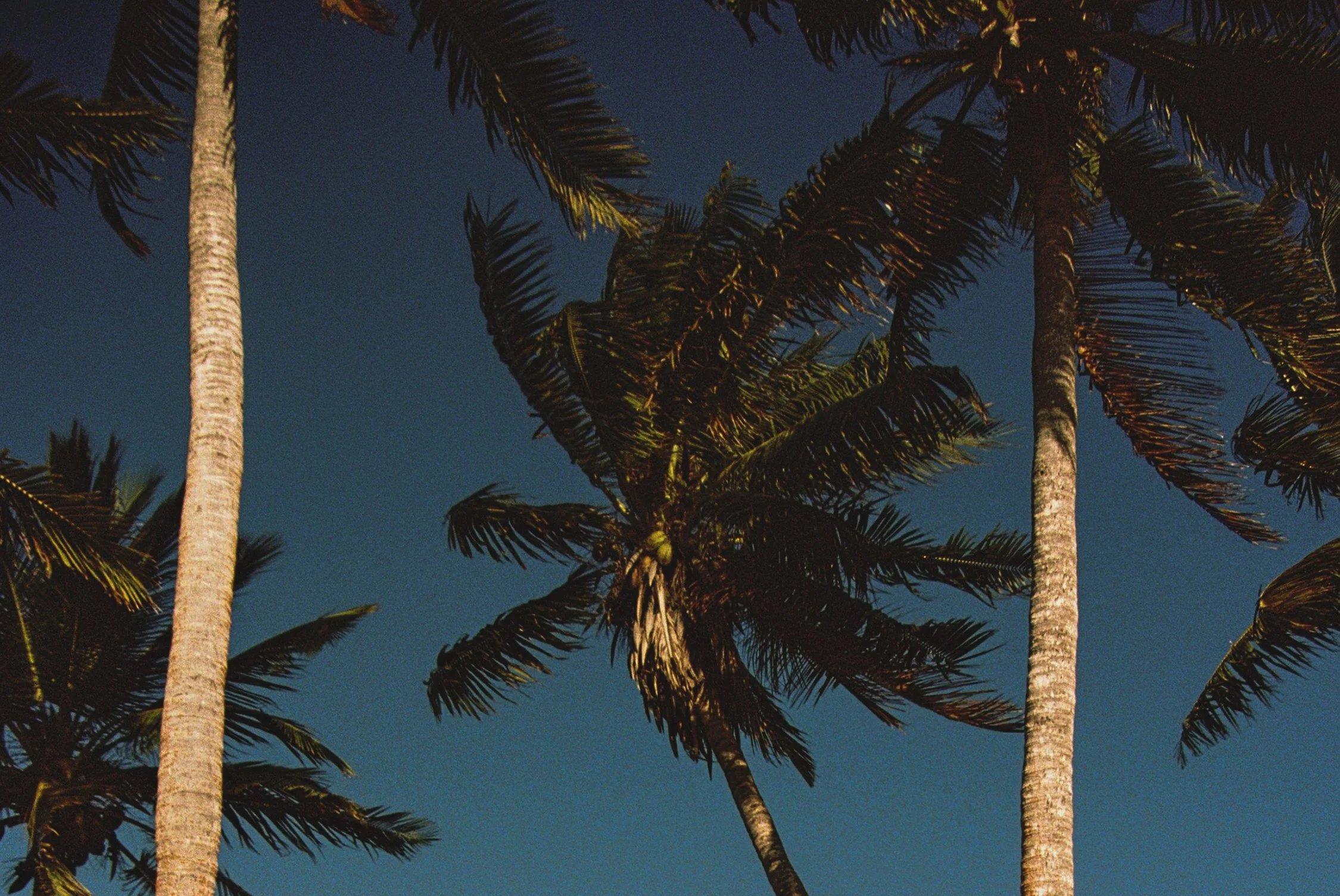 PAGE_035.jpg
