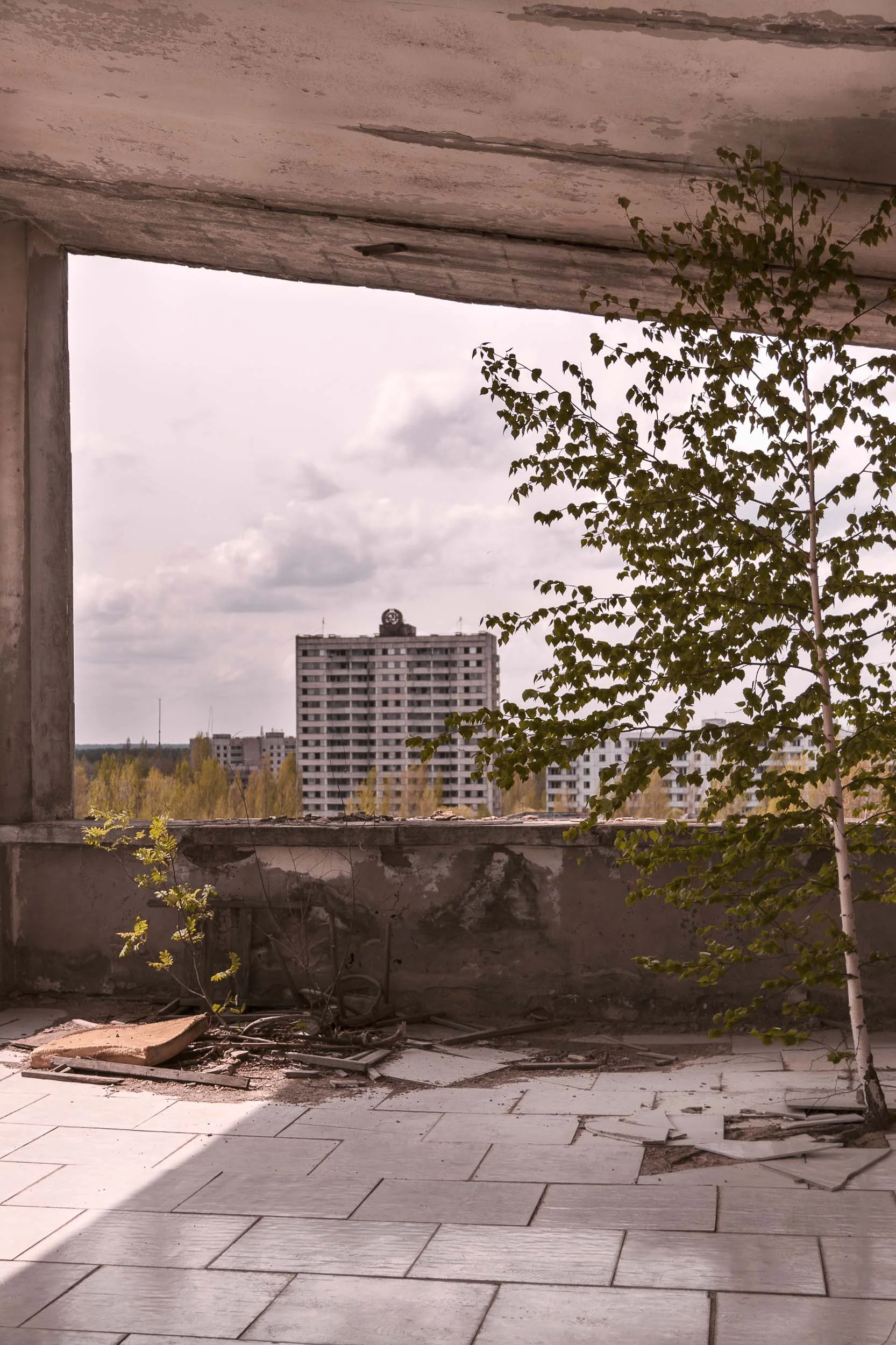 _MG_5003-HDR-Edit.jpg