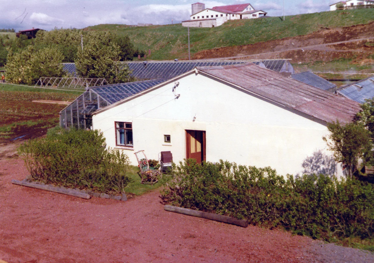 Gamli bærinn í Hveratúni 1977 (mynd: PMS)