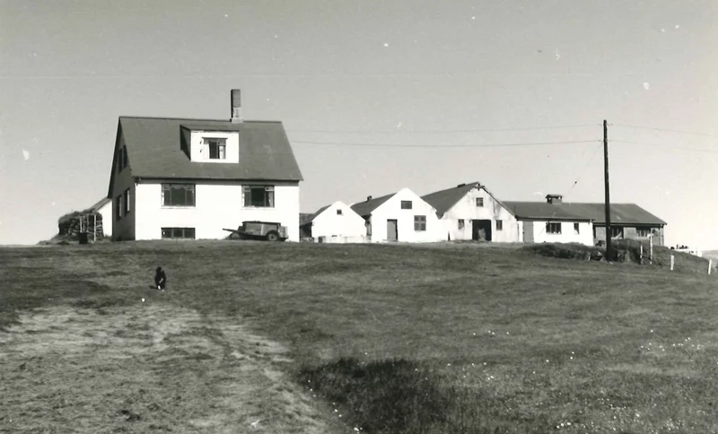 Bryðjuholt. Meðaljörð að landrými. Landið er grösugt og gott til beitar, bæði sumar og vetur. Að meirihluta er landið mýrlendi, en þurrlendi er þó mikið og gott ræktunarland, en er nokkuð langt frá bæ. Í landinu austanverðu eru lágir ásar og lægðadrög með valllendisgróðri. Engjar eru allagóðar. Veiðiréttur er í Hvítá. Áin veldur lítilsháttar landbroti. Landið er afgirt. Bærinn stendur í brekku framan í lágum ás. „Veðrasamt er hér og verður oft að skaða,“ segir í Jarðabók Á.M. Heimild. Sunnlenskar byggðir I, bls. 310. Búnaðarsamband Suðurlands 1980. (Mynd af vef Ísmús)