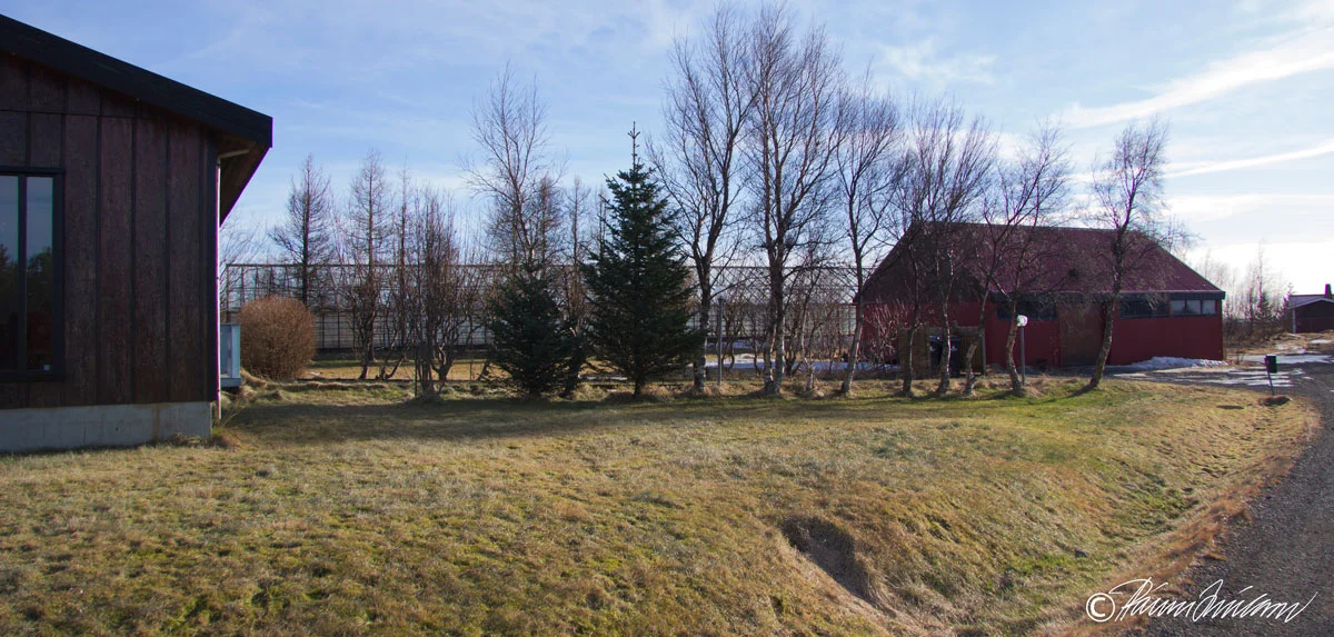 Lindarbrekka 2014. Fjærst er góðurhúsið, vinstra megin íbúðarhúsið og hægra megin skemman og Krosshóll (fjær). (Mynd PMS)