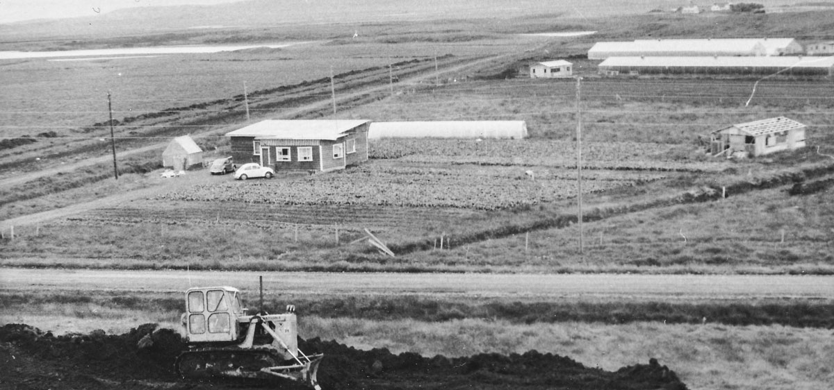 Ljósaland 1973 (líklegast) (mynd frá Asparlundi)