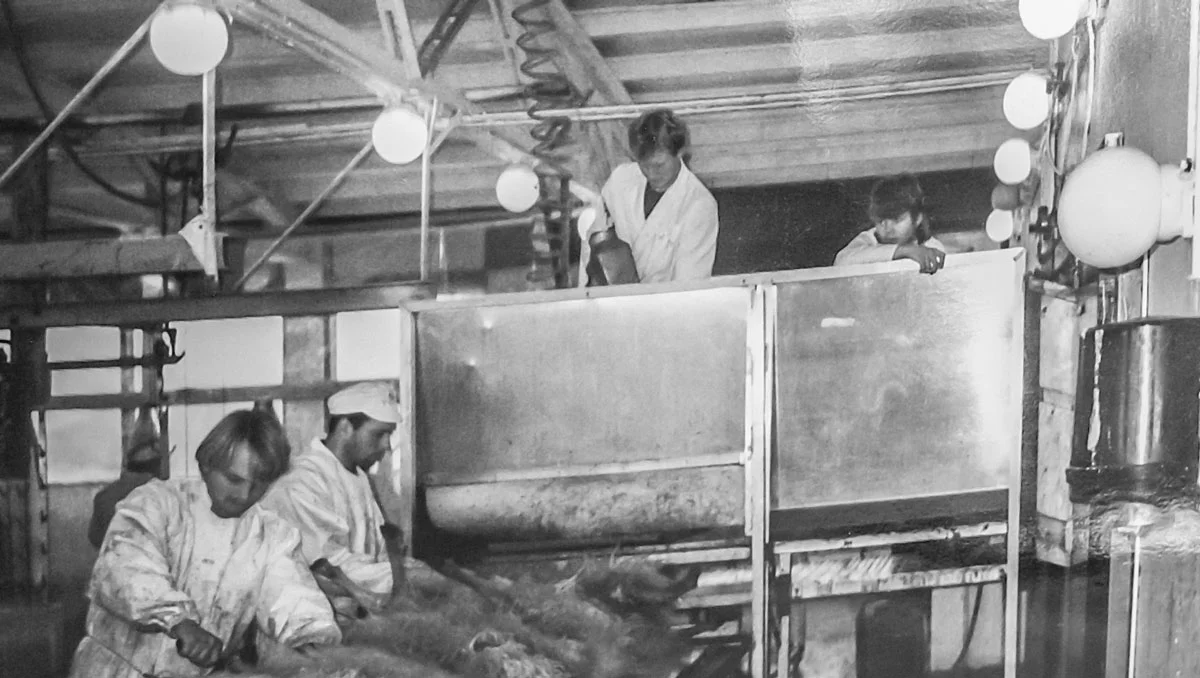 F.v. Jakob Narfi Hjaltason, Egill Jónasson, Kjartan Sveinsson og ?