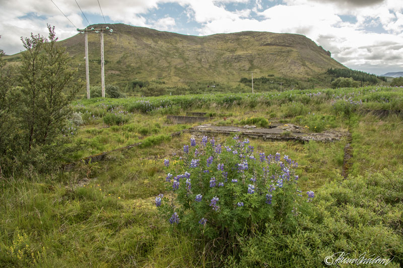 Rústir skála við Hafravatn