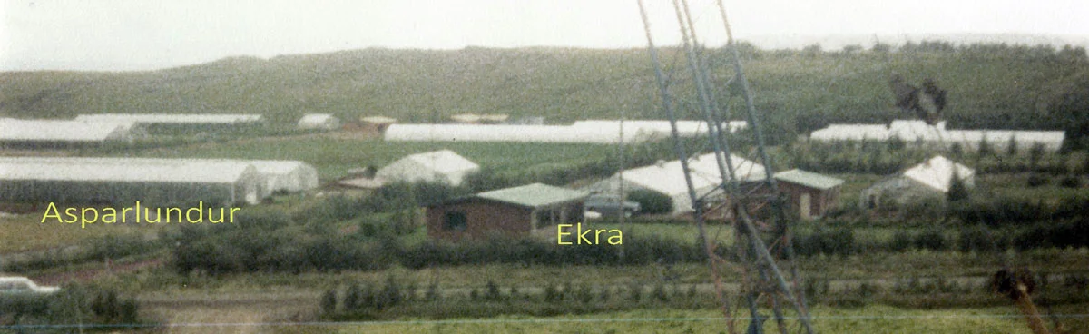 Asparlundur og Ekra 1982 (mynd pms)