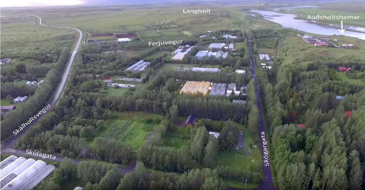 Úr myndskeiði Magnúsar Skúlasonar frá ágúst 2015.